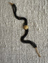 LION SPINEL CHOKER